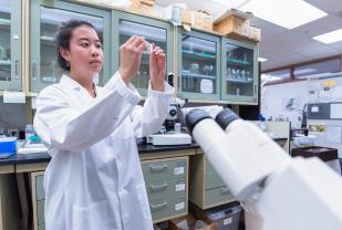 Christina Kim has conducted hearing research in the lab of neuroscientist Jeff Corwin.