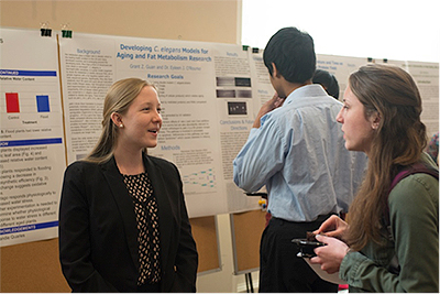 conference attendees in front of poster displays